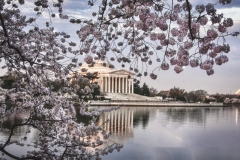 Cherry Blossoms-7511_HDR-Edit-Edit