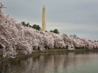 washington-dc-9520-edit