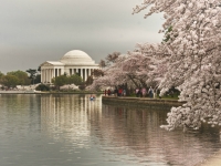 washington-dc-9586_hdr