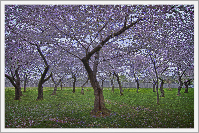 washington-dc-7321_hdr-edit-edit