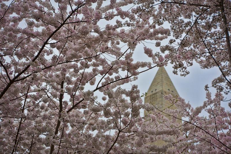 washington-dc-9406-edit