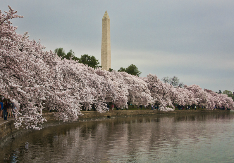 washington-dc-9520-edit