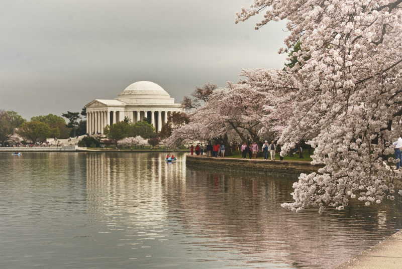 washington-dc-9586_hdr