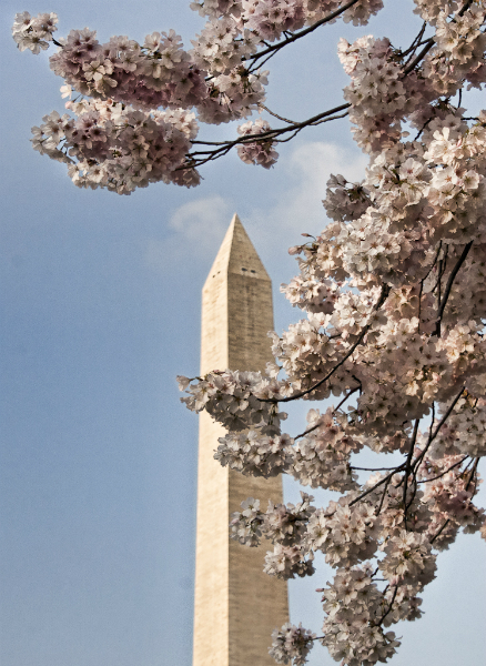 washington-dc-9859-edit