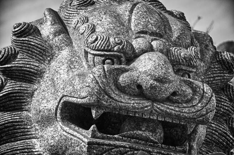 chinese-new-year-6841_hdr
