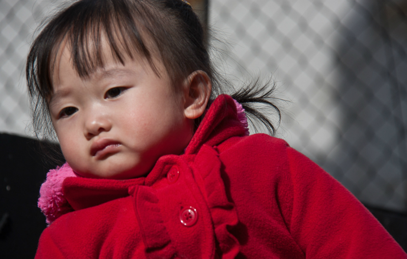 chinese-new-year-6988