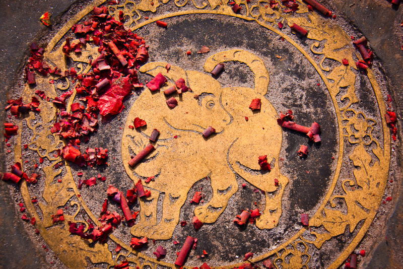 chinese-new-year-6994