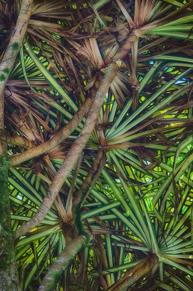 Costa Rica--29