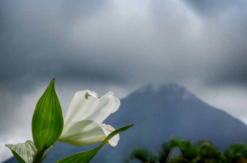 Costa Rica--30