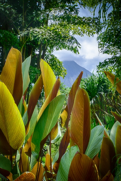 Costa Rica--33