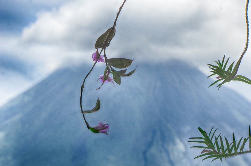Costa Rica--35