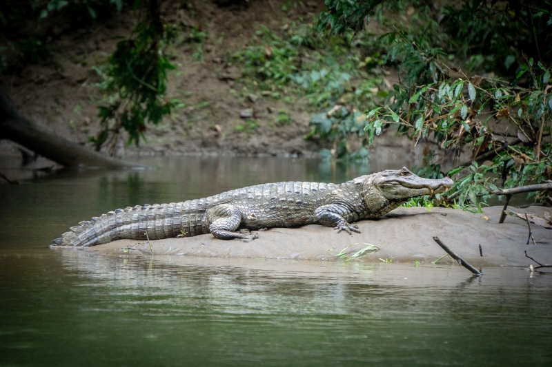 Costa Rica-8105