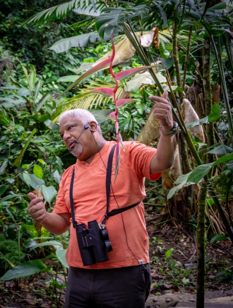 Costa Rica-8285