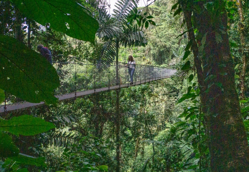 Costa Rica-8668