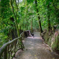 Costa Rica--26