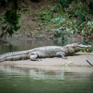 Costa Rica-8105