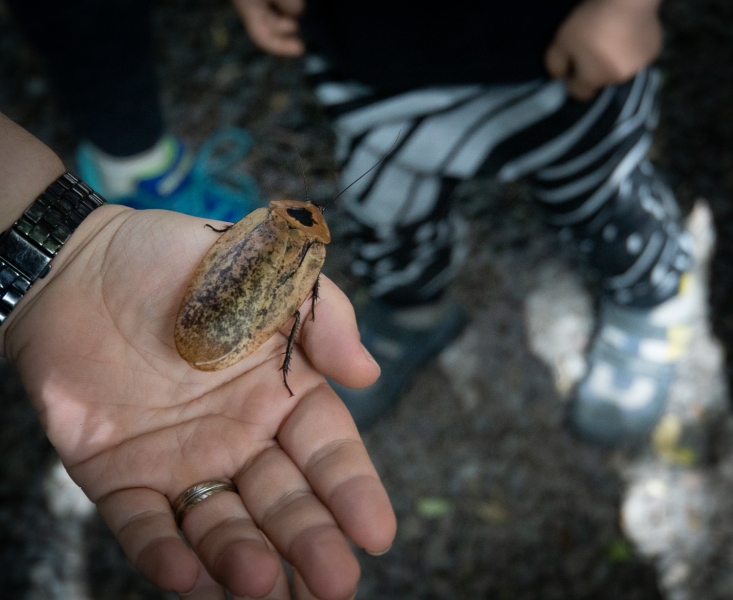 Costa Rica-0442