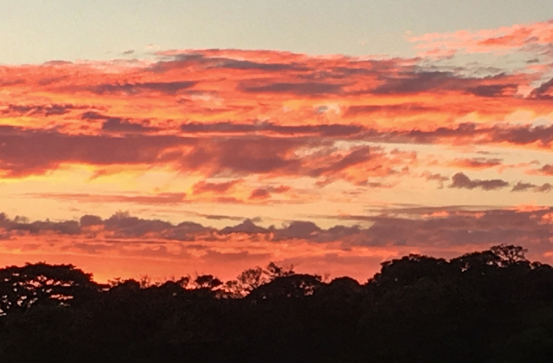 Costa Rica-4184