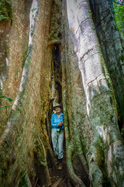 Costa Rica--53