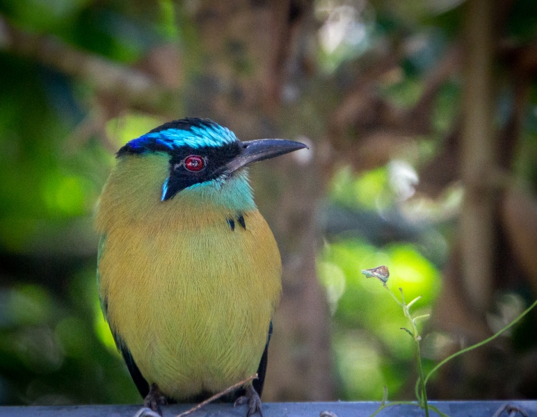 Costa Rica-9667
