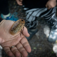 Costa Rica-0442