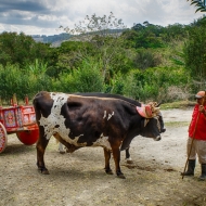 Costa Rica--47