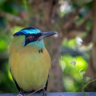 Costa Rica-9667