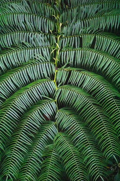 Costa Rica--11