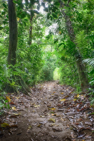 Costa Rica--15