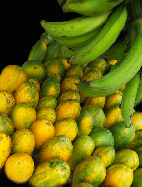 Costa Rica--3