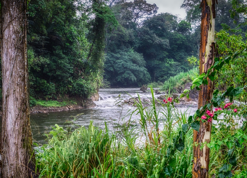 Costa Rica--6