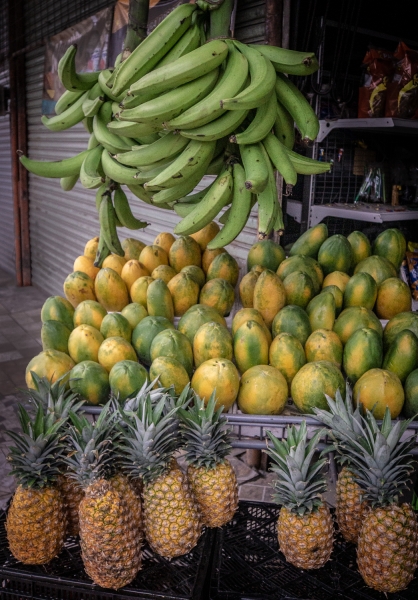 Costa Rica-6982