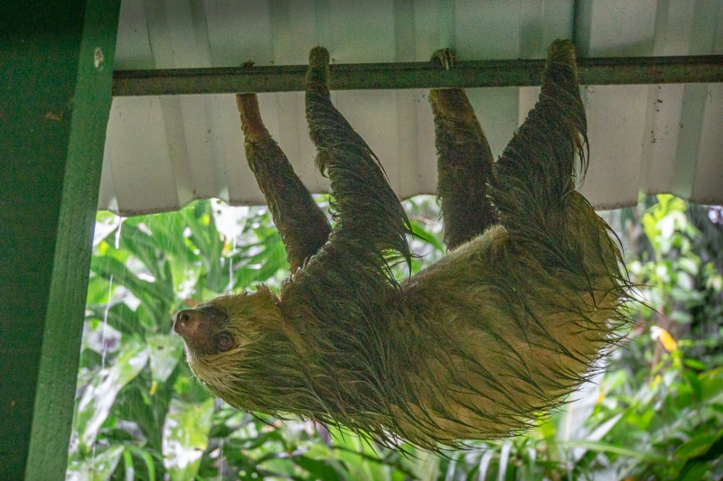 Costa Rica-7192