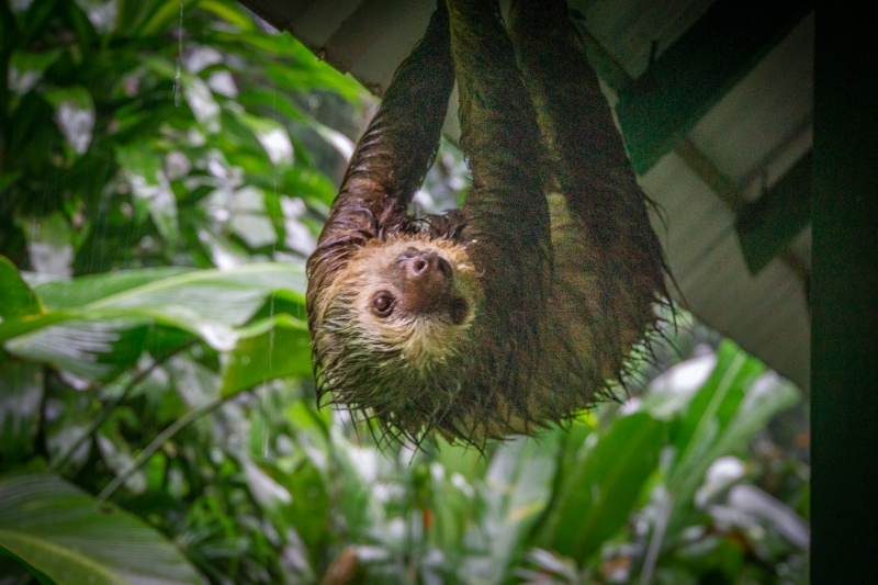 Costa Rica-7246
