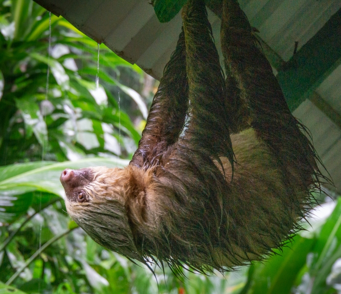 Costa Rica-7254