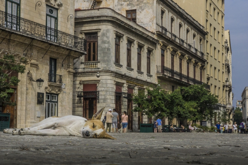 Cuba-6110