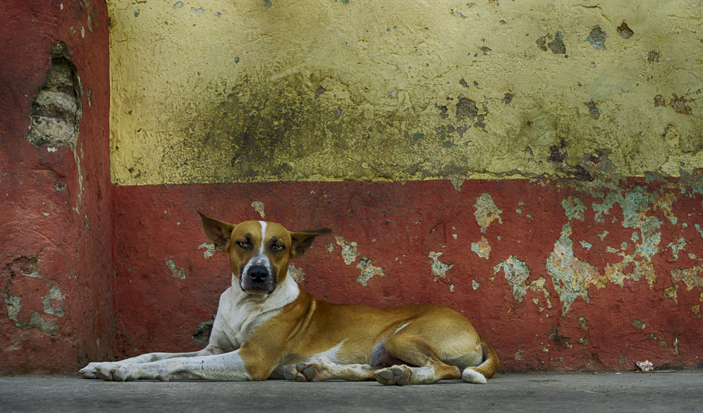 Cuba-25