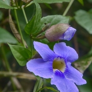 Ecuador -9634_HDR