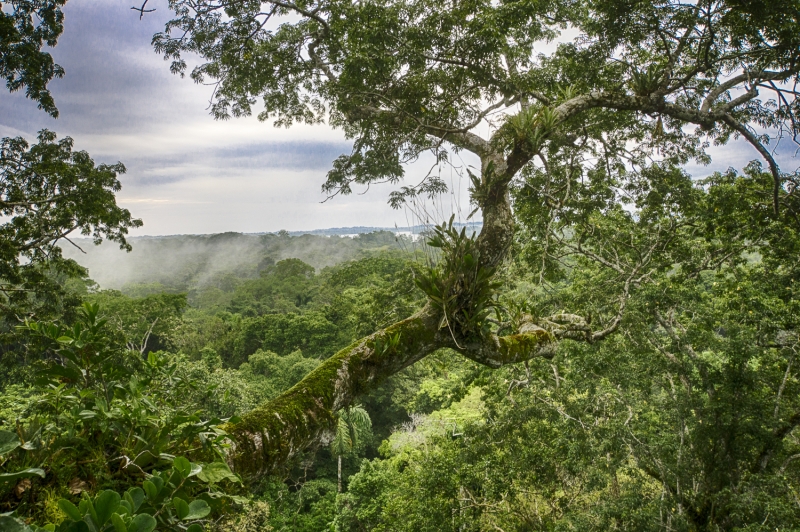 Ecuador -7389_HDR