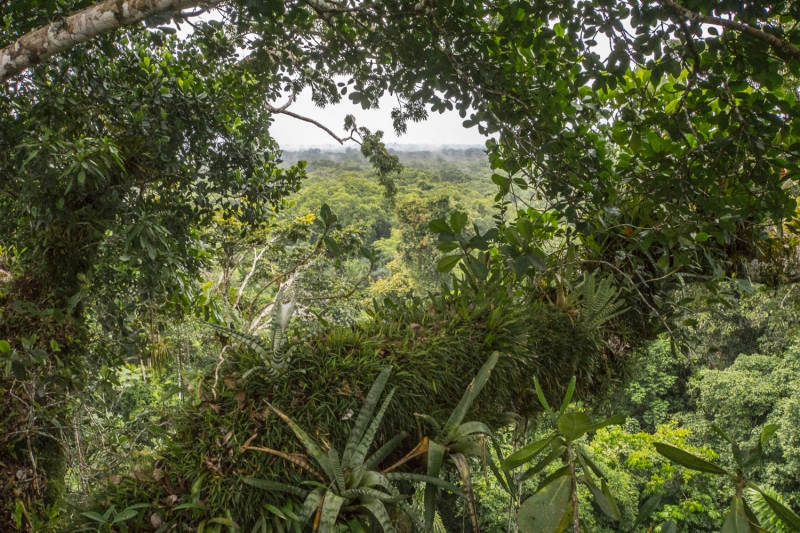 Ecuador -7498