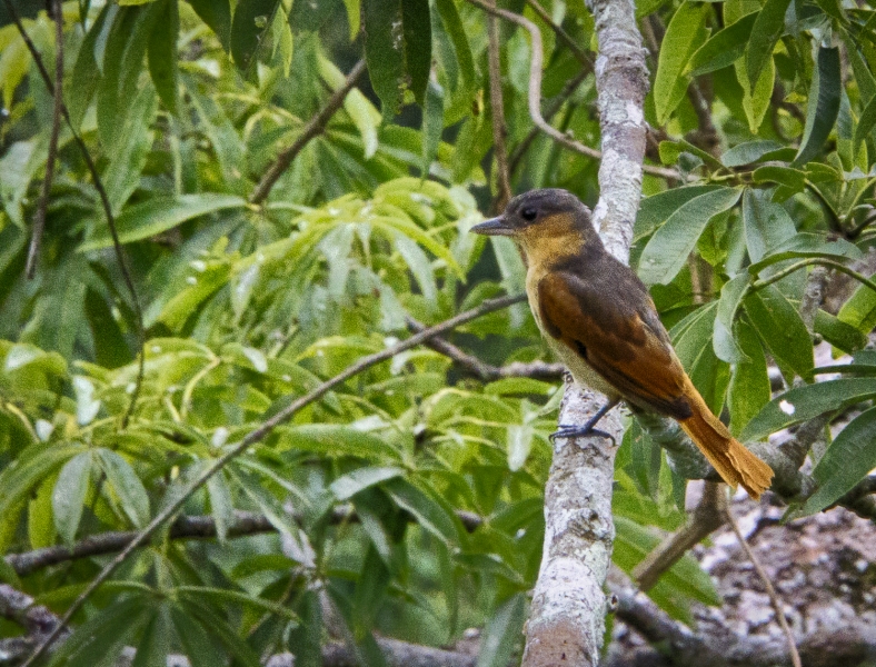 Ecuador -7548_HDR