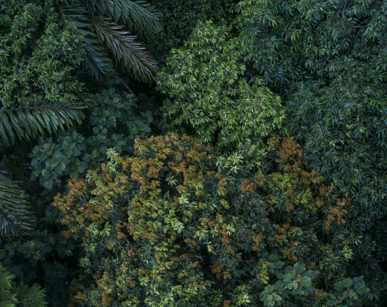 Ecuador -9712-Edit