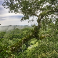 Ecuador -7389_HDR