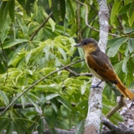 Ecuador -7548_HDR