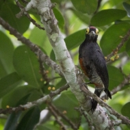 Ecuador -7741