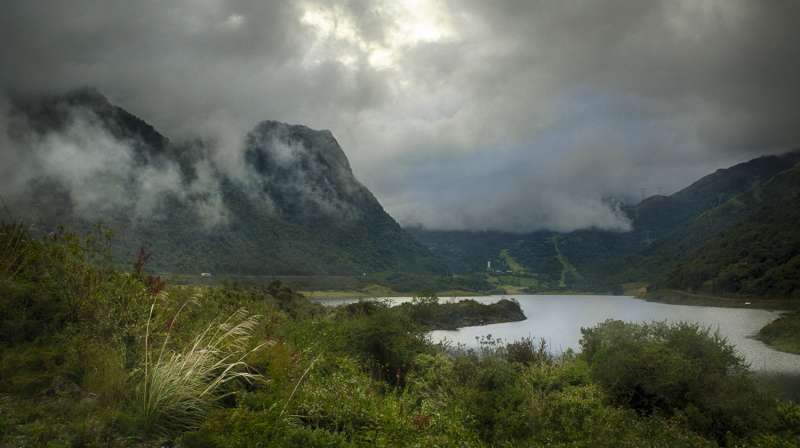Ecuador Cloud Forest-0248_HDR