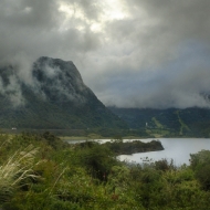 Ecuador Cloud Forest-0248_HDR