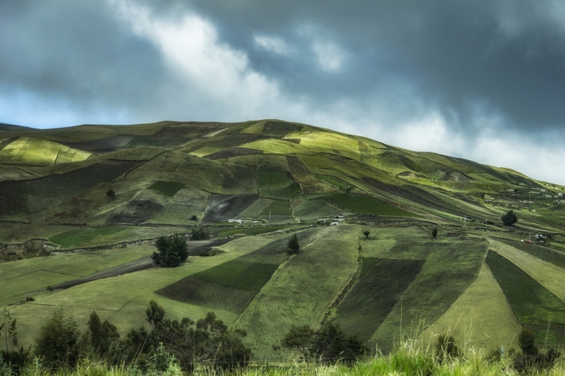 Ecuador -7178-Edit