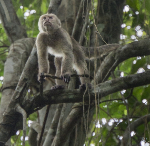 Ecuador -7890