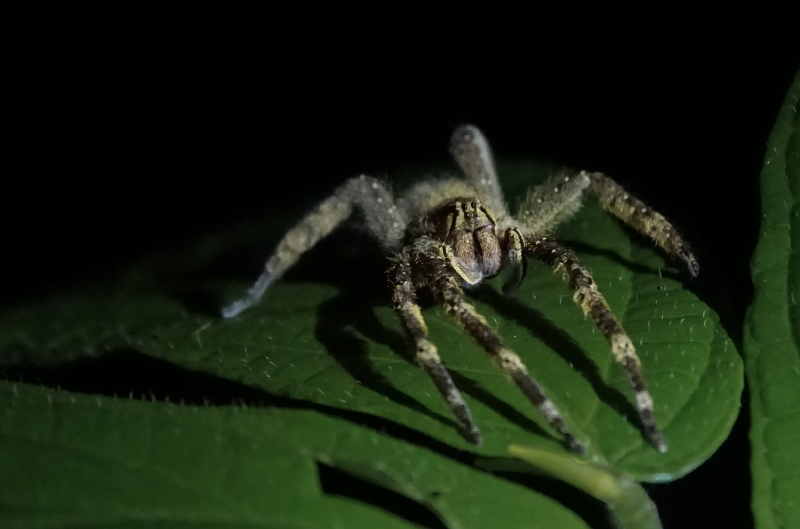 Ecuador -9034